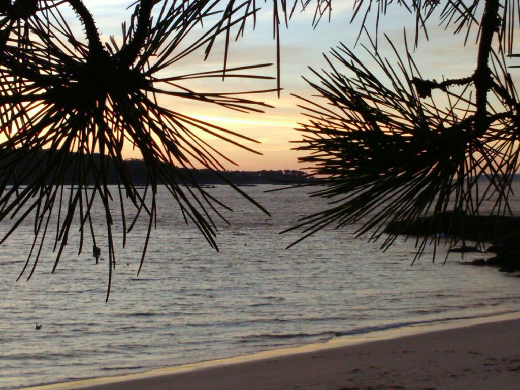Praias para soñar