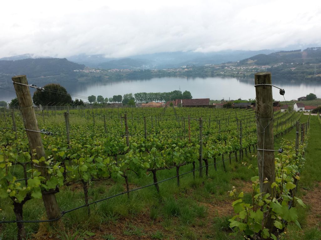 La cultura más riquiña del mundo