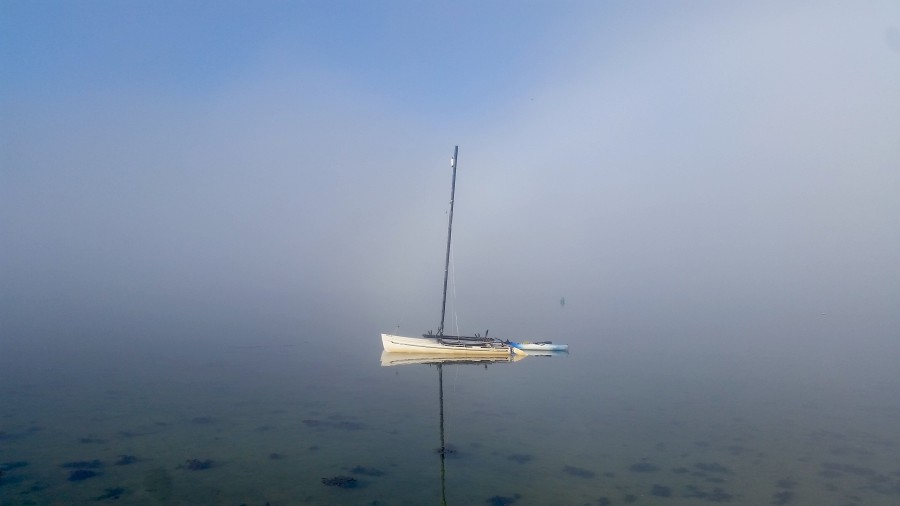 Niebla en la ría 