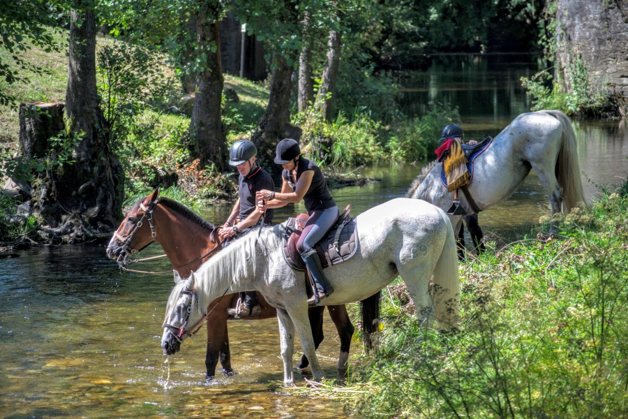 Abrevando cabalos no Neira Baralla