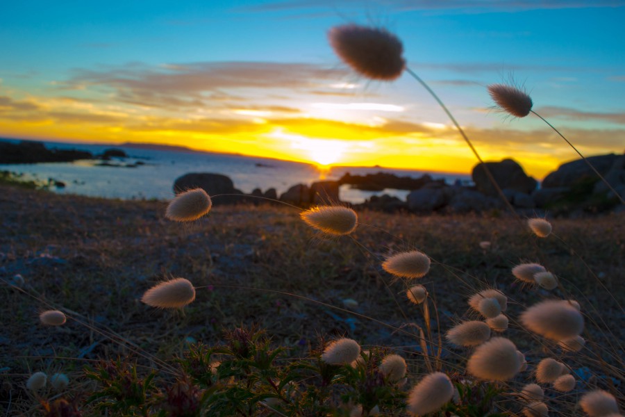 atardeceres maxicos