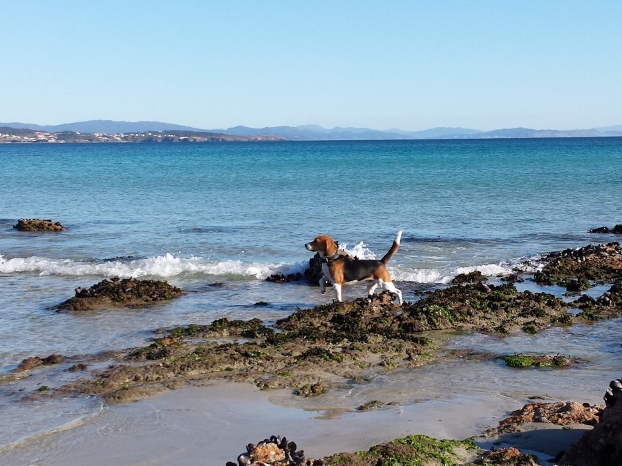 Lucas en la playa