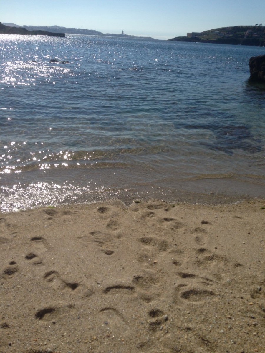 Playa de santa ana