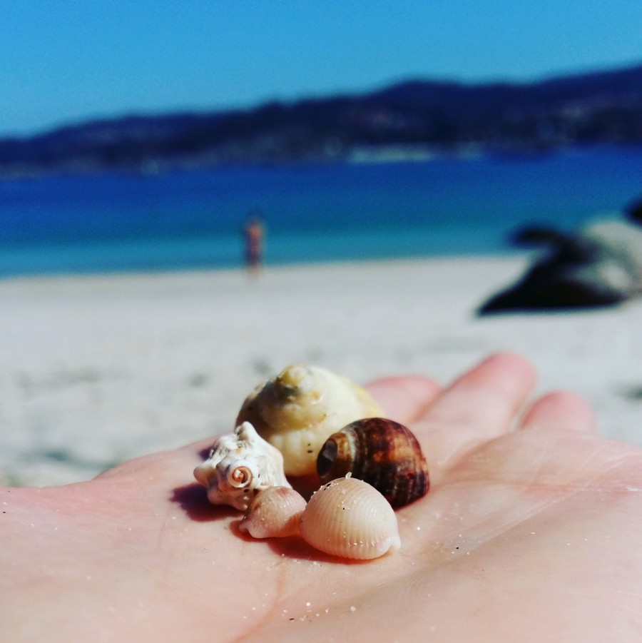 El mar a tus manos