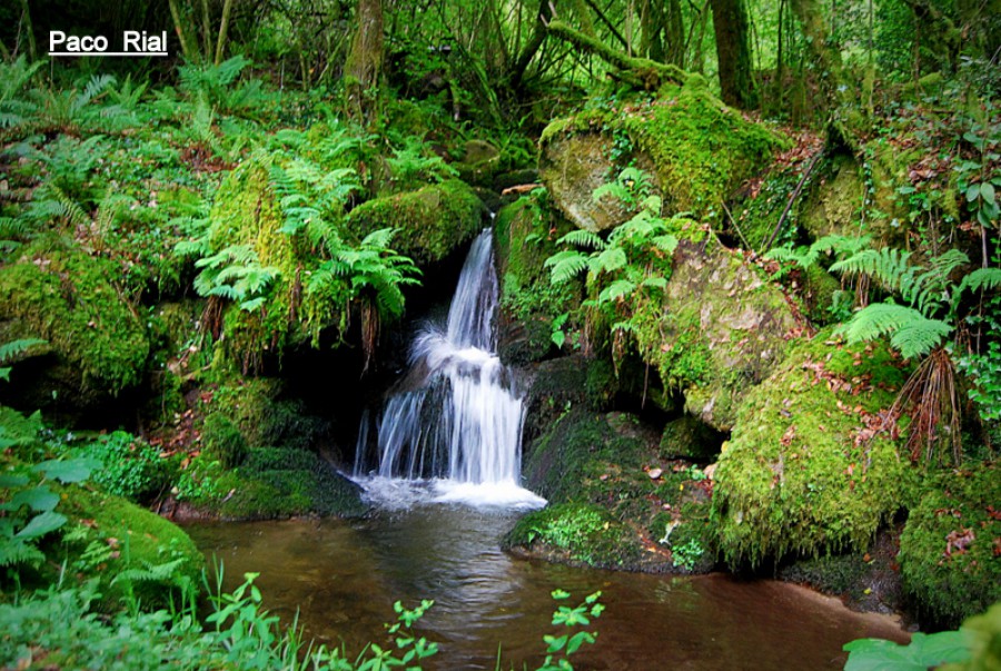 en  plena  naturaleza