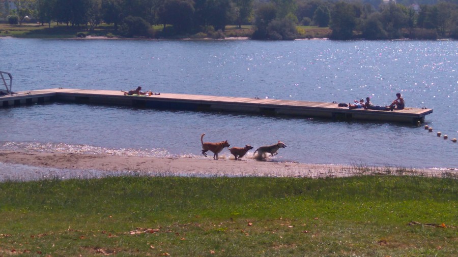 Playa fluvial de Goian. Pontevedra 