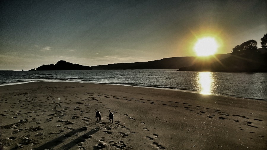 Playa de Lourido (Poio, Pontevedra)