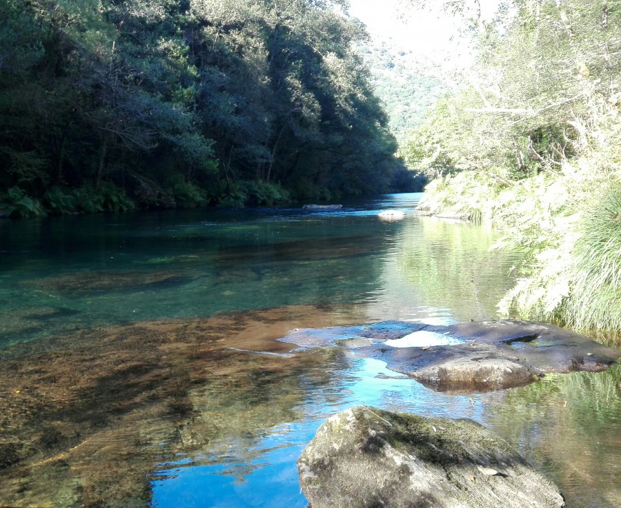 Cores na auga