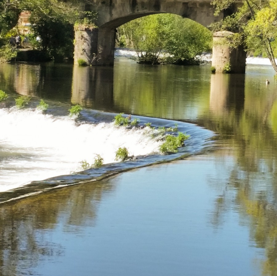 Ondas no río