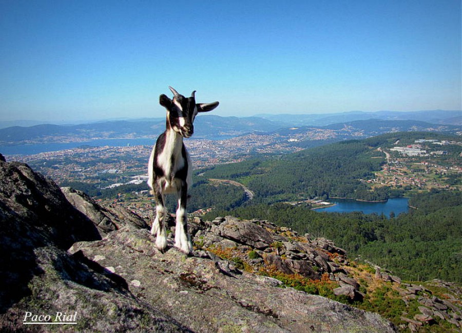 sitio  unico  monte  galiñeiro