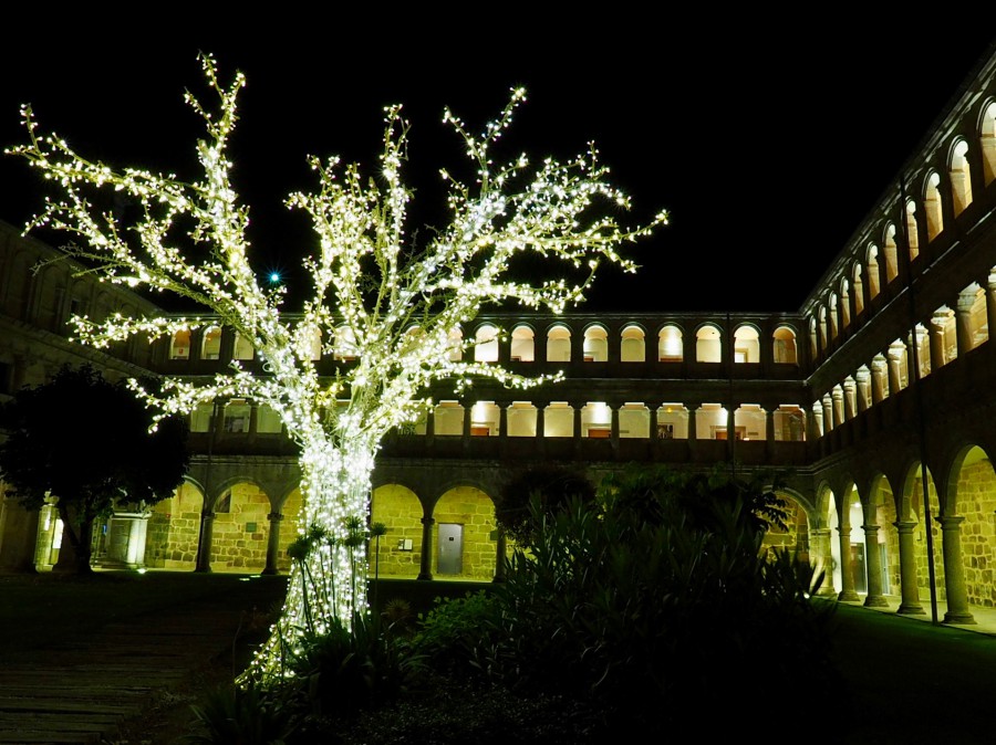 Monasterio Santo Estevo