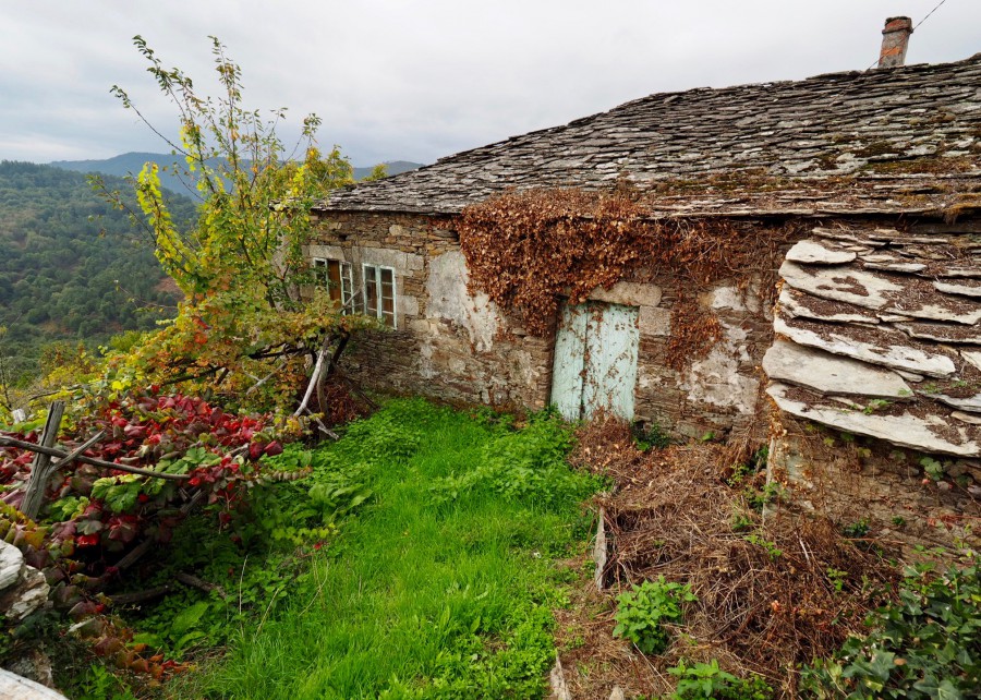 Galicia Meiga