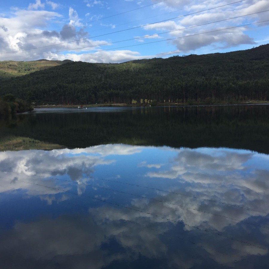 Reflexos
