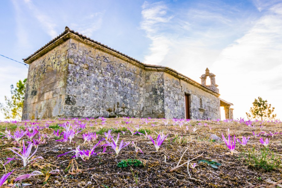 Ermita de Triguás