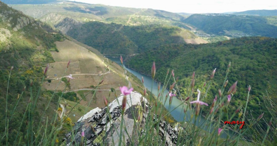 ribeira sacra