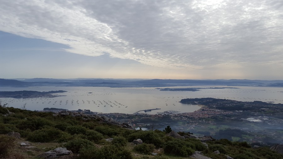 Ría de Arousa