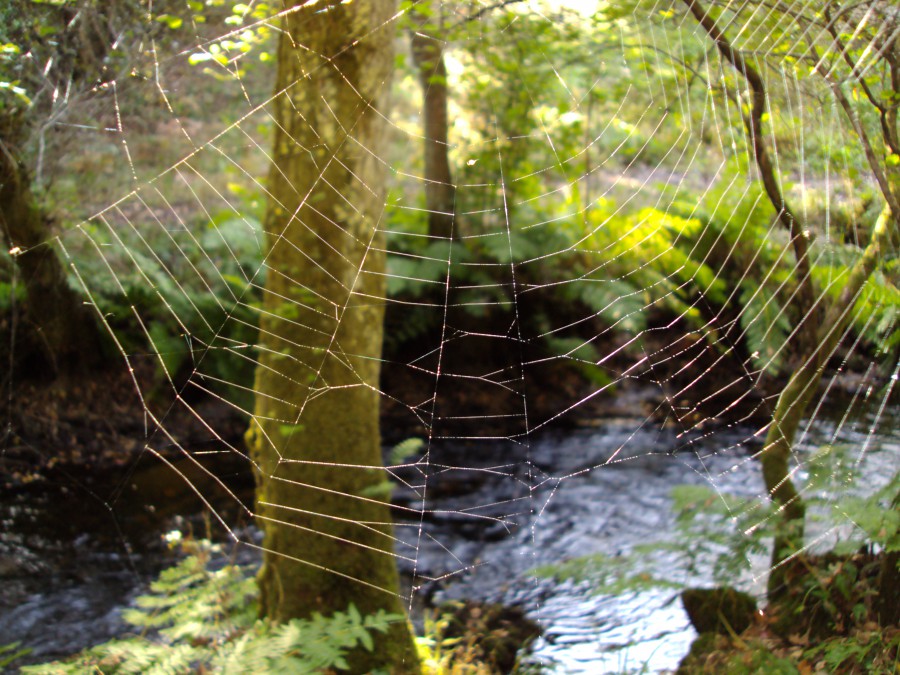 Arte en la naturaleza