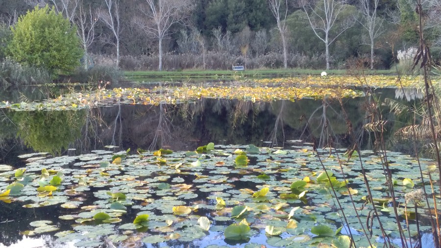 lago pazo do tambre