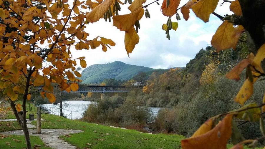 Outono na Ribeira Sacra