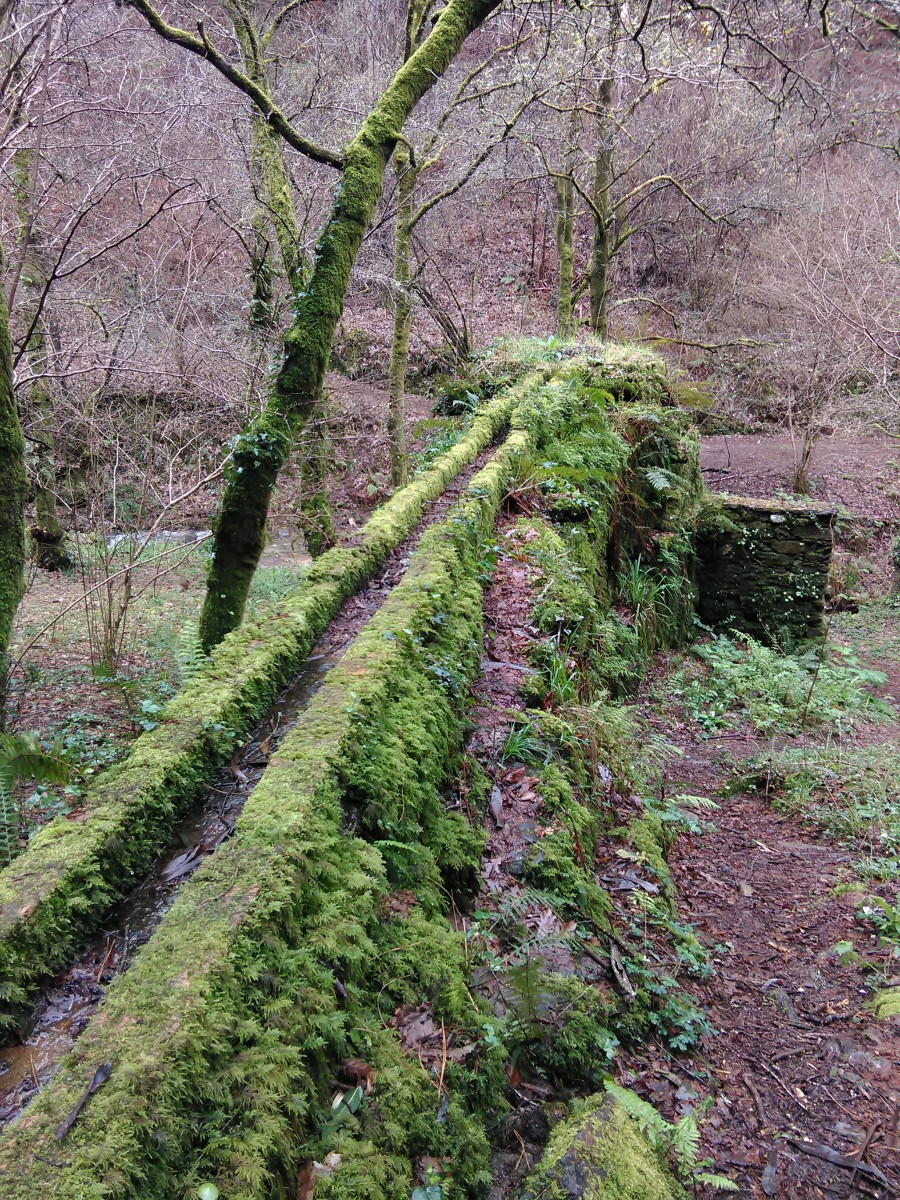 Muiño no rio Eifonso , Vigo.