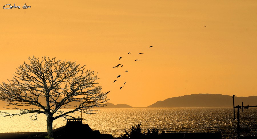 Puesta de sol en la Ria