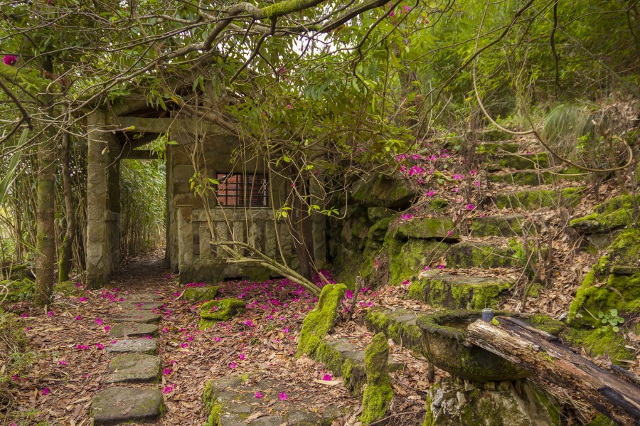 bosque encantado