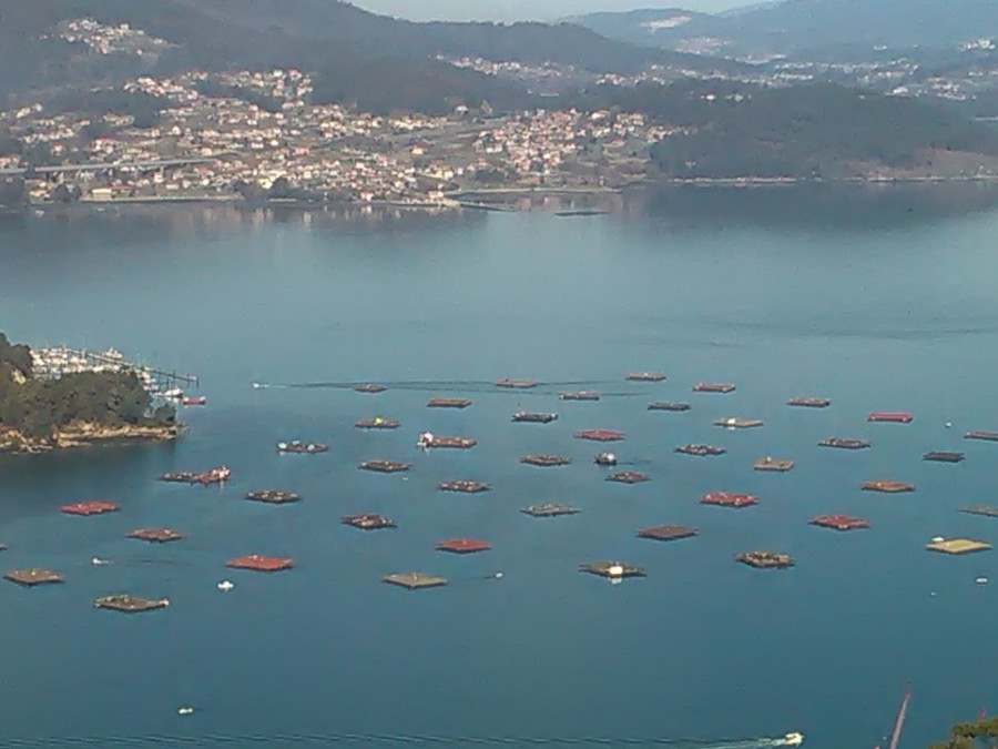 ENSENADA DE SAN SIMON . RIA DE VIGO