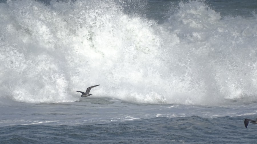 Jugando con las olas