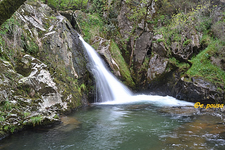 FERVENZA DE RAXOI