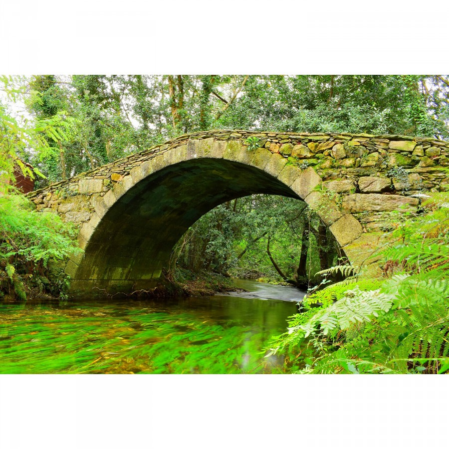 Ponte medieval de pielas  (naron)