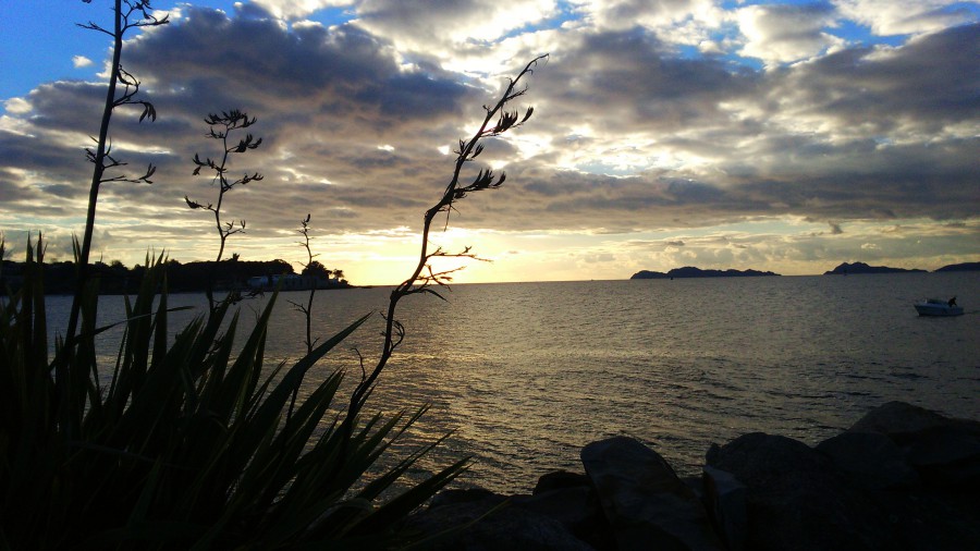 Un paseo al atardecer 