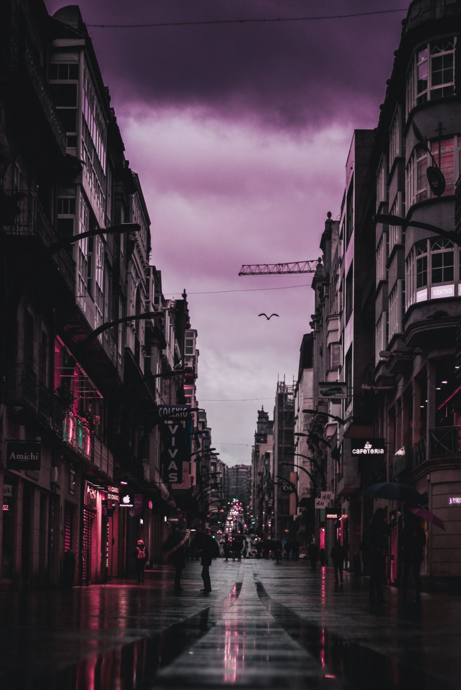 Vigo. 