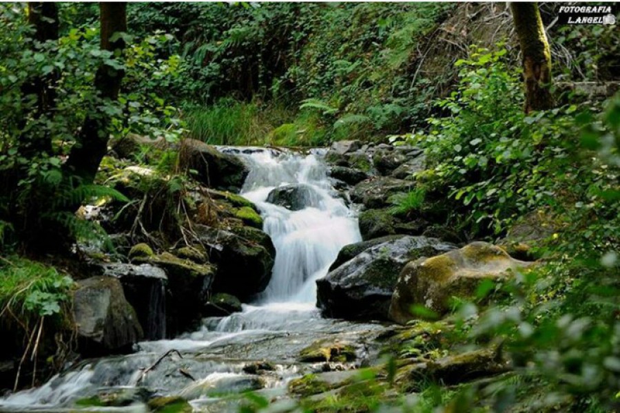 La cascada