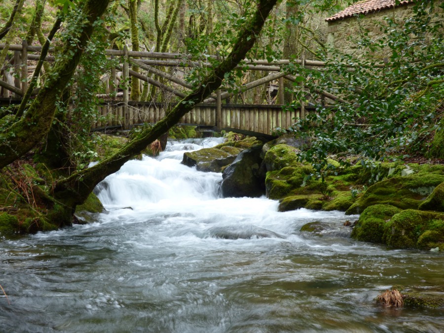 FERVENZAS DE RAXOI (VALGA)