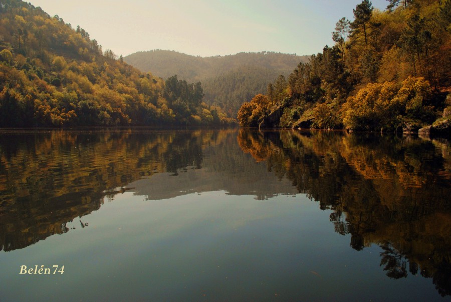 Reflejos