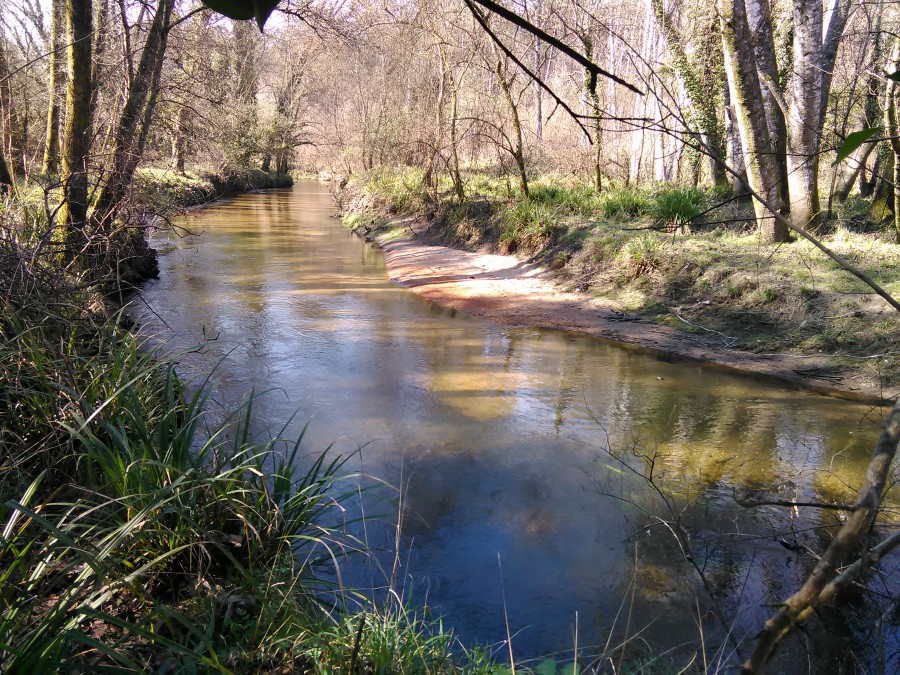 RIO LOURO, PORRIÑO,PONTEVEDRA.