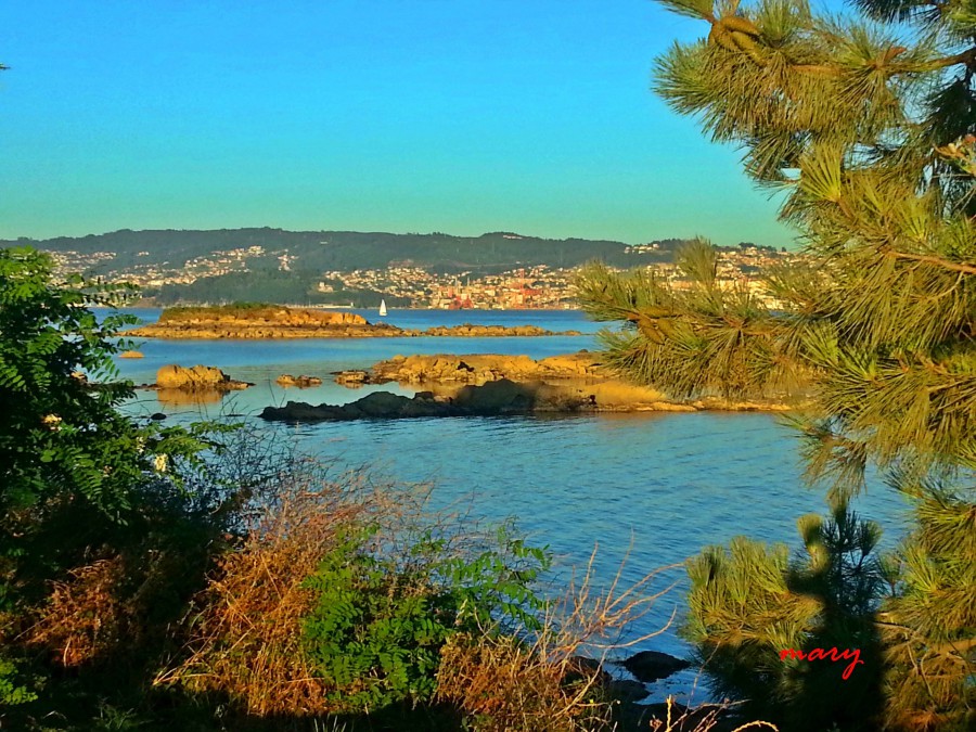 cangas de morrazo