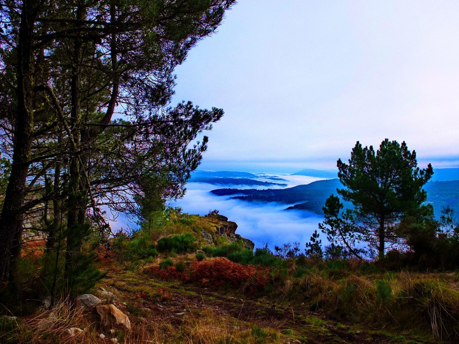 Ribeira Sacra