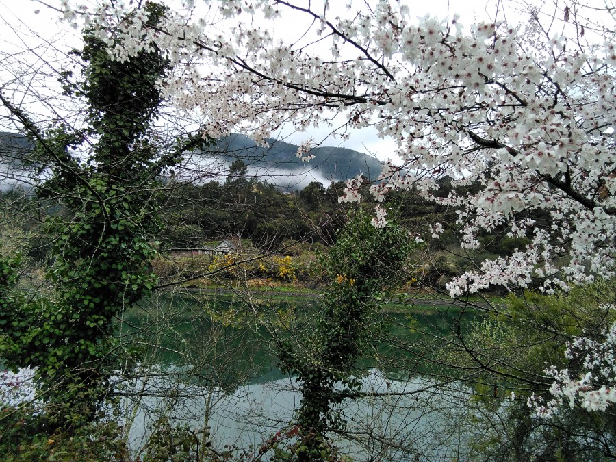 Primavera a orillas del Sil