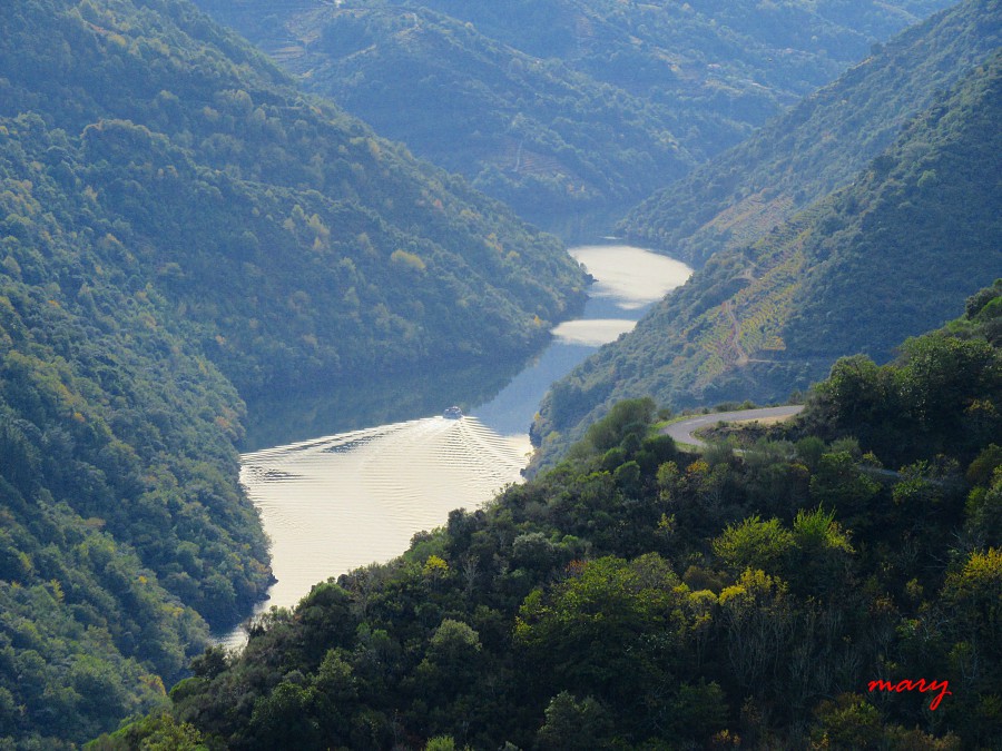 catamaran por el rio sil