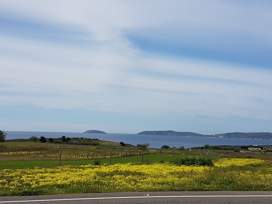 azul amarillo y verde