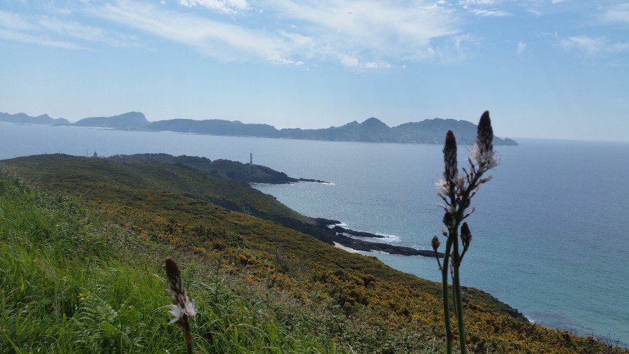 Cabo Home