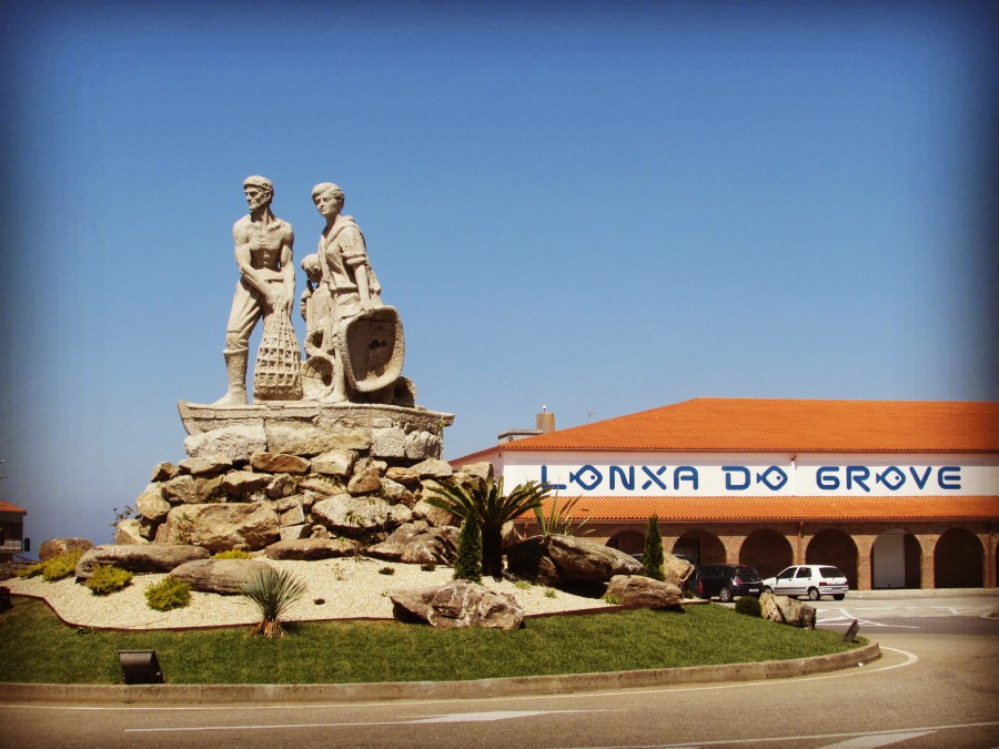 Lonxa do grove