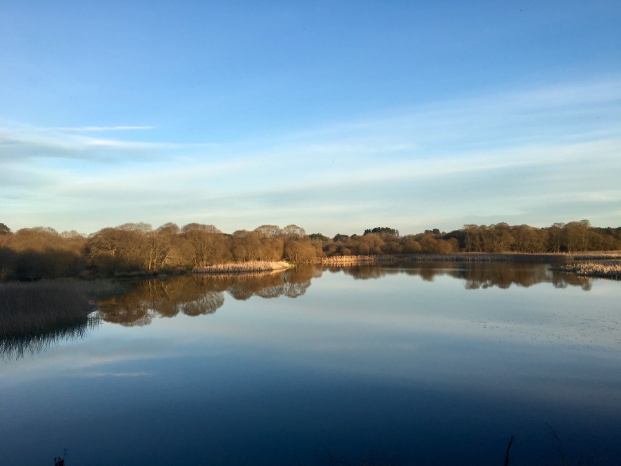 Lagoa de Cospeito