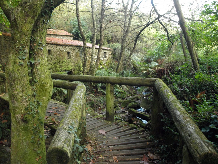 OTOÑO