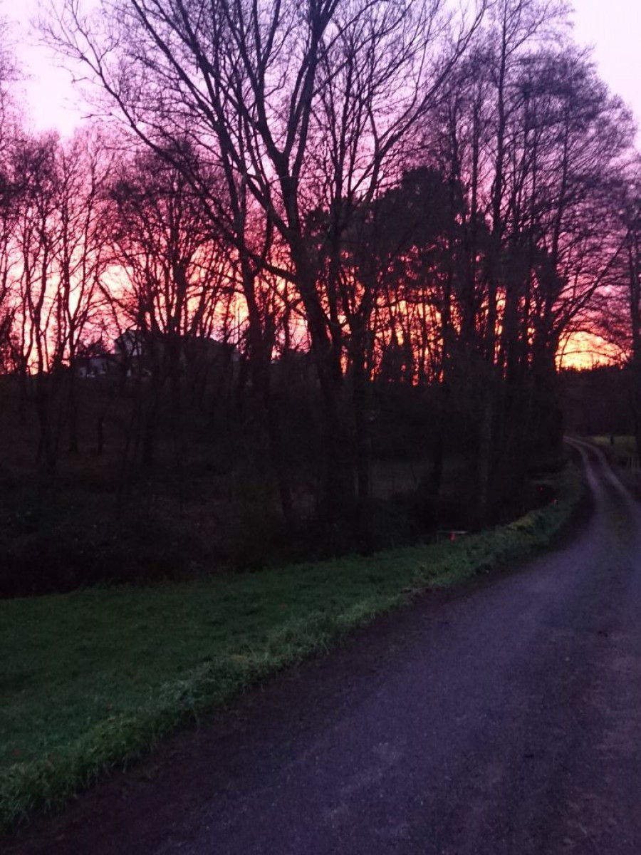 Inverno en Guimarás (O Corgo)