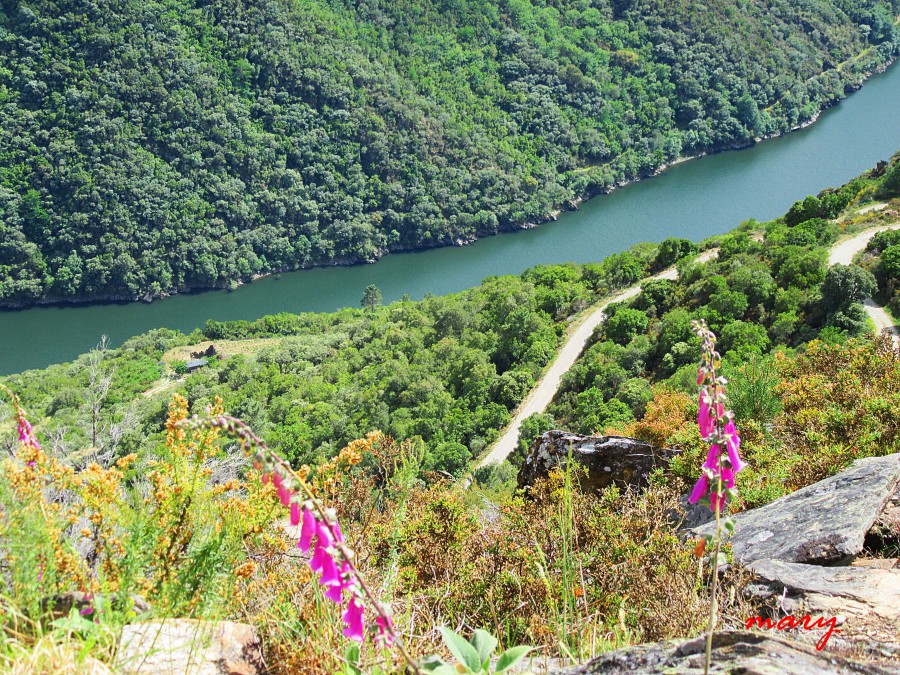 mirador da capela