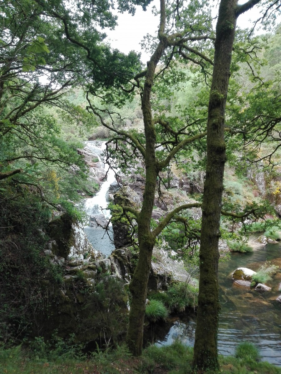 Fervenza de Liñares 