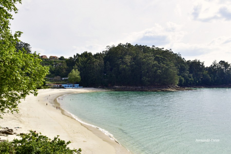 Caribe gallego 