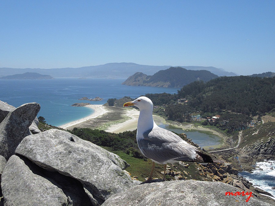 islas cies